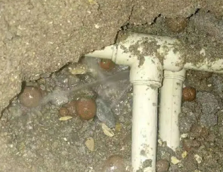 八步卫生间测漏