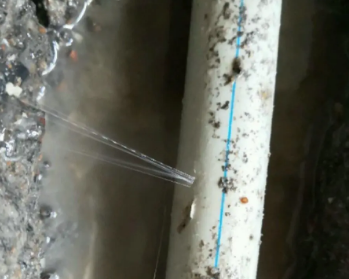 八步卫生间测漏水多少钱